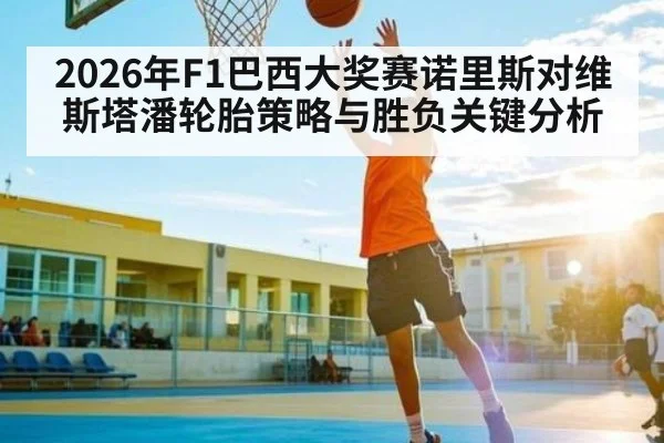 2026年F1巴西大奖赛诺里斯对维斯塔潘轮胎策略与胜负关键分析